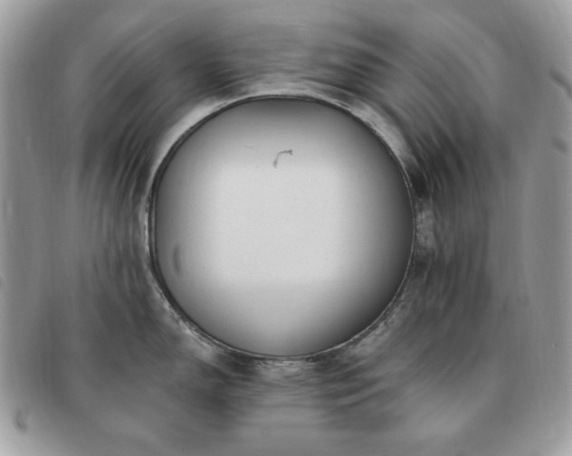 X0000091291150200708171339