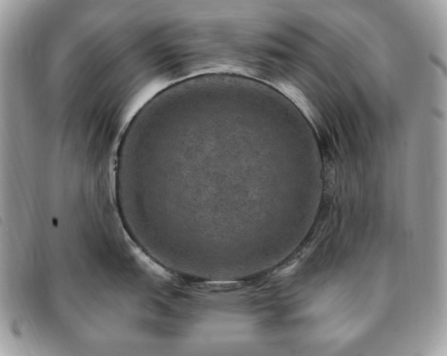 X0000091291151200708171339