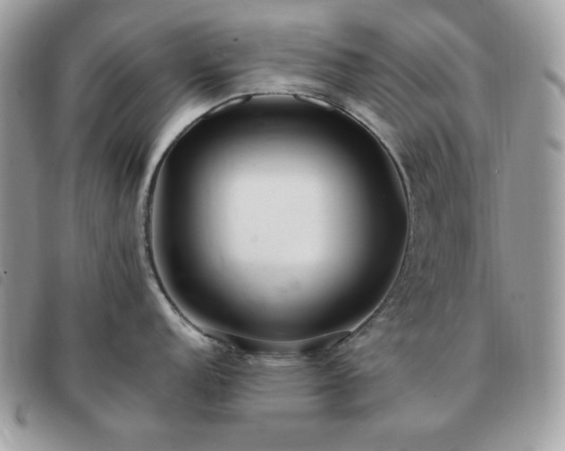 X0000091291152200708171339