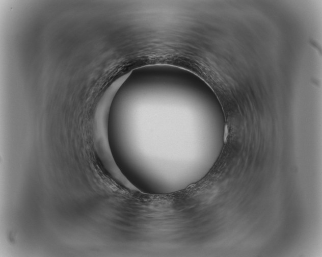 X0000091291153200708171338