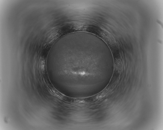 X0000091291154200708171338