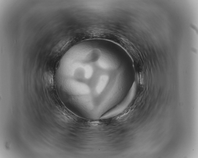 X0000091291155200708171338