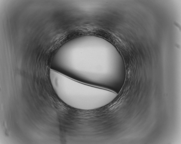 X0000091291156200708171338