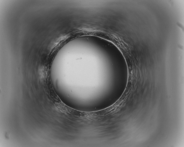 X0000091291157200708171338