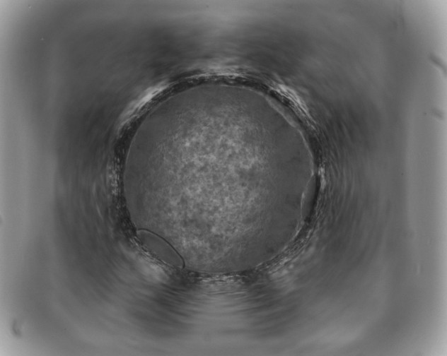 X0000091291159200708171338