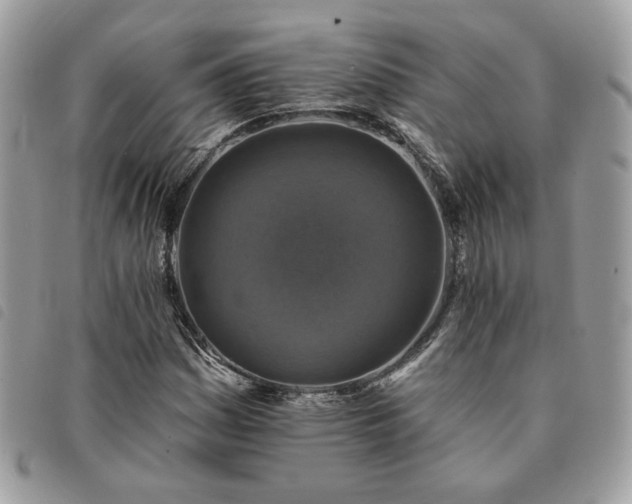 X0000091291161200708171338