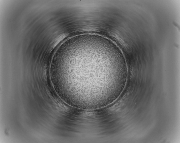 X0000091291162200708171338