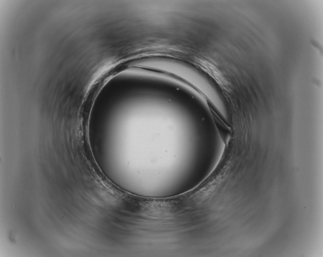 X0000091291164200708171338