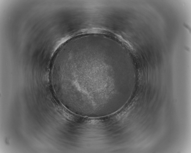 X0000091291166200708171338