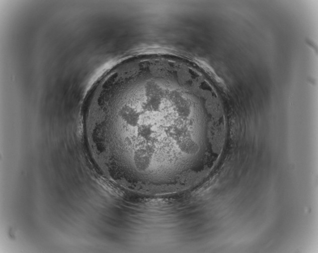 X0000091291167200708171338