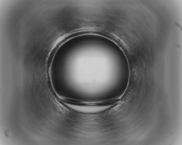 X0000091291168200708171338