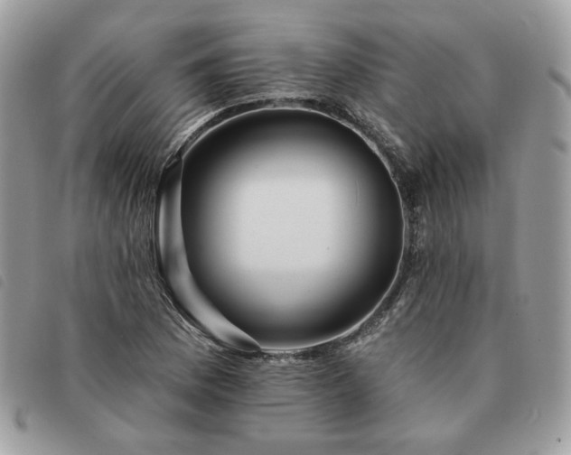 X0000091291169200708171338