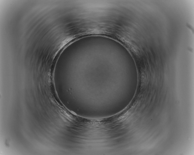 X0000091291170200708171338