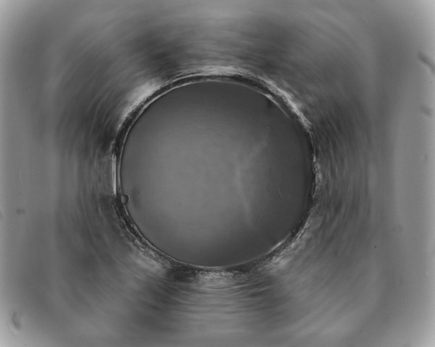 X0000091291171200708171338