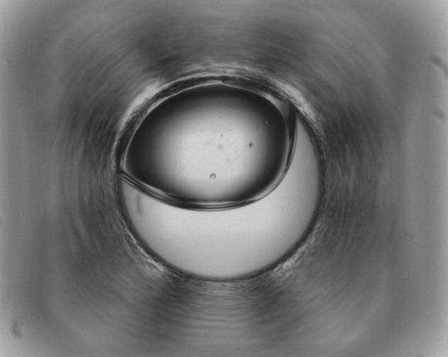 X0000091291172200708171338