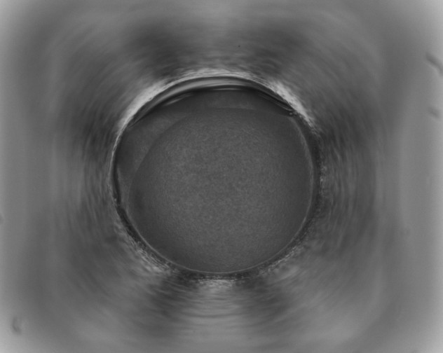 X0000091291173200708171338