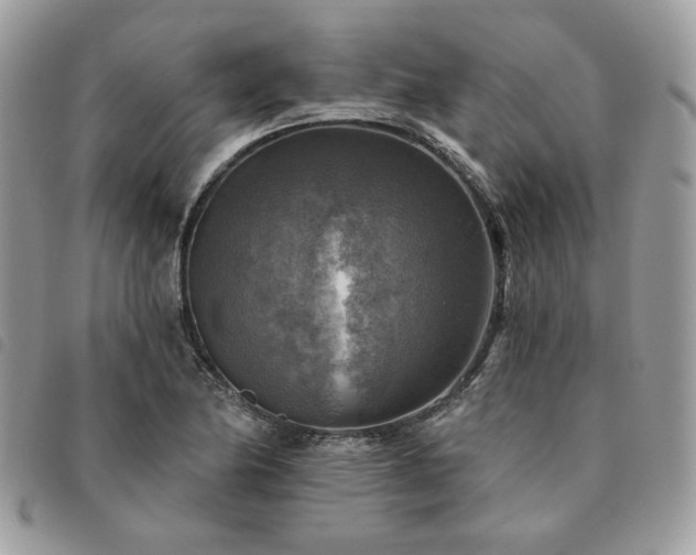 X0000091291174200708171338