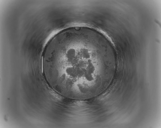 X0000091291175200708171338