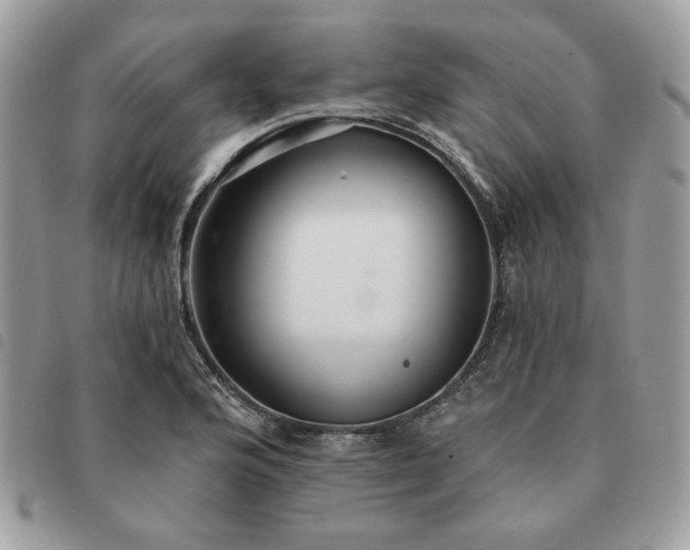 X0000091291176200708171338