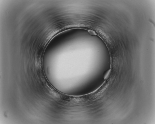 X0000091291177200708171338