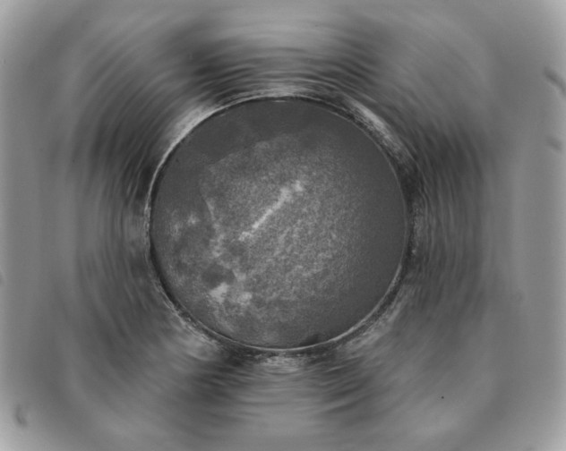 X0000091291178200708171338