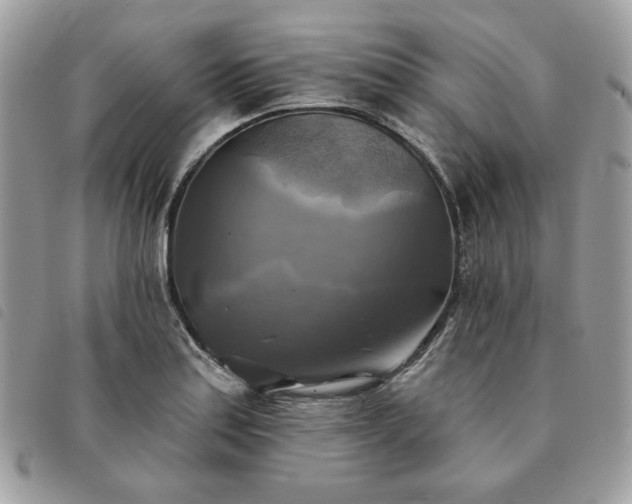 X0000091291179200708171338