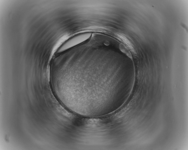 X0000091291180200708171338