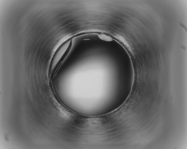 X0000091291181200708171338