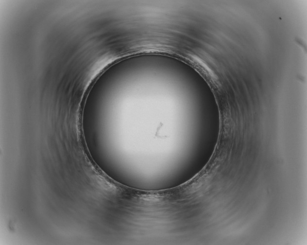 X0000091291182200708171338