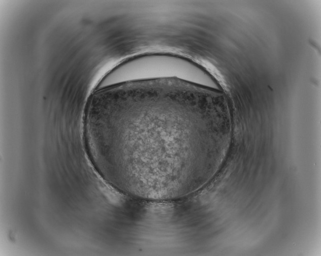 X0000091291183200708171338