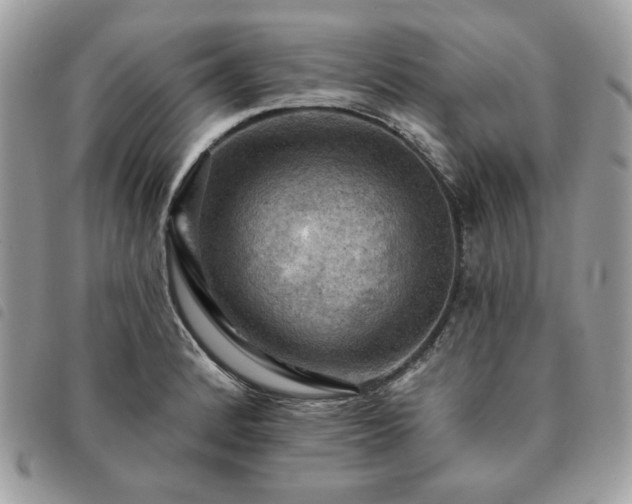 X0000091291184200708171338