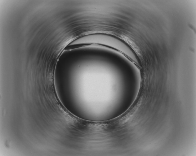 X0000091291185200708171338