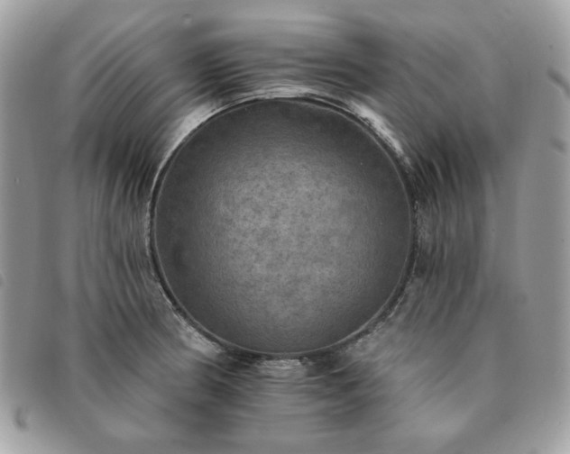 X0000091291186200708171338