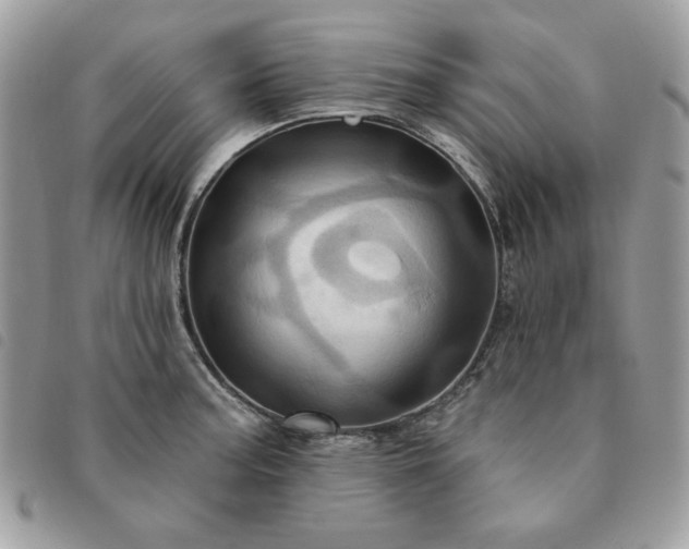 X0000091291187200708171338