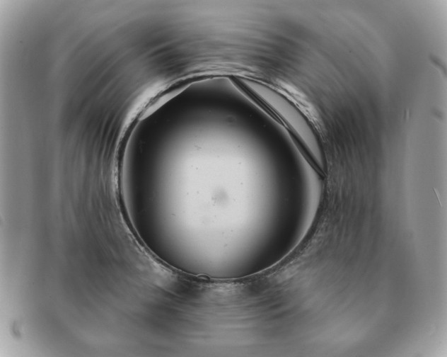 X0000091291188200708171338