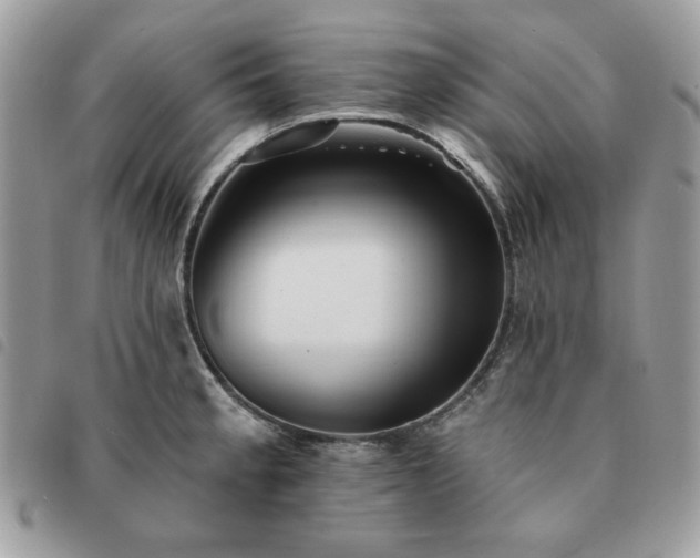 X0000091291189200708171338