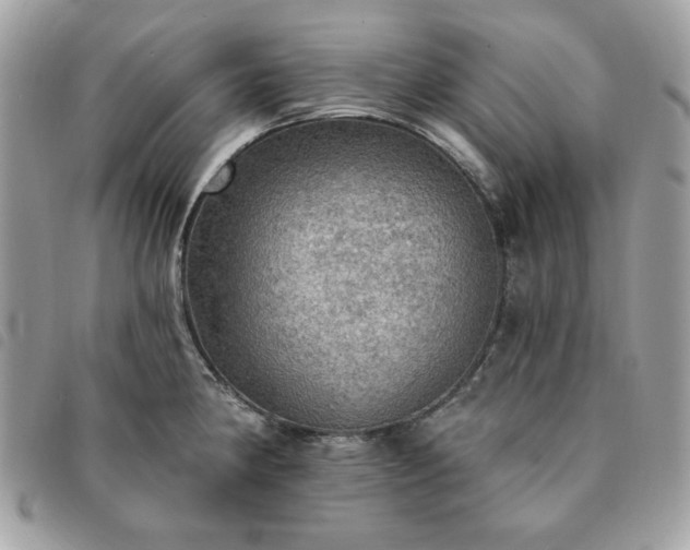 X0000091291190200708171338