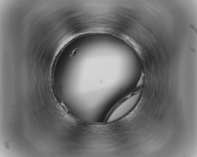 X0000091291192200708171338