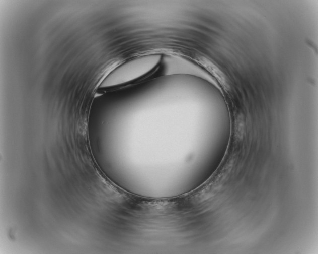 X0000091291193200708171338