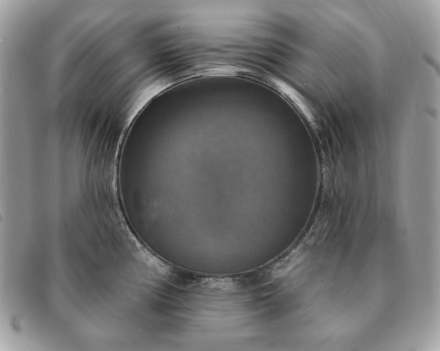 X0000091291194200708171338