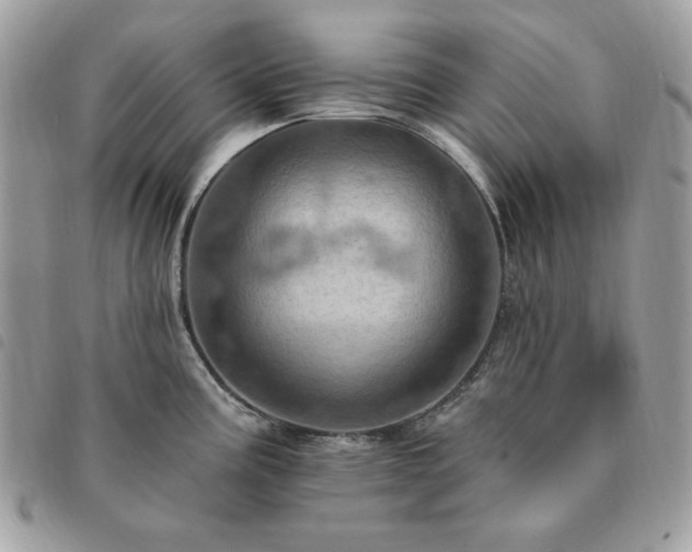 X0000091291195200708171338