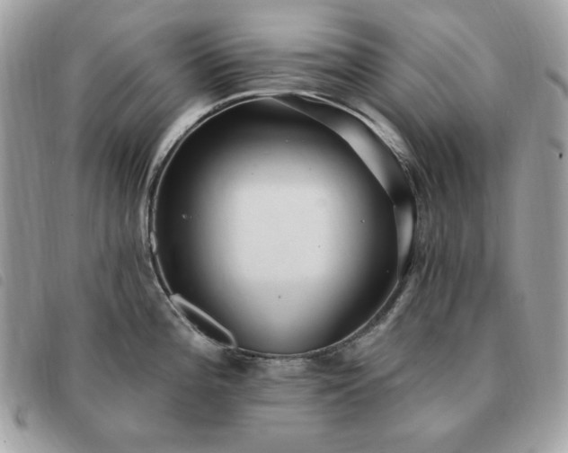 X0000091291196200708171338