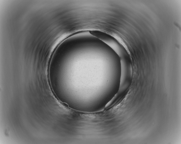 X0000091291197200708171338