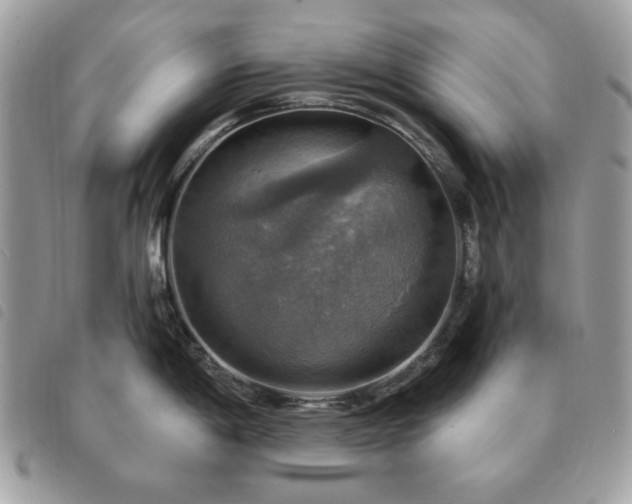 X0000091291198200708171338