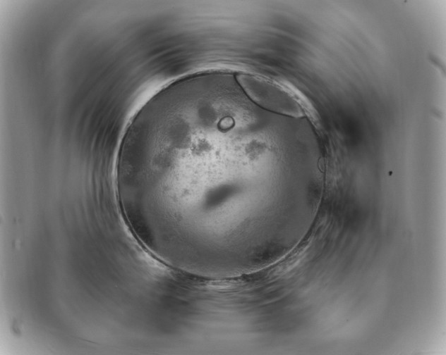 X0000091291199200708171338