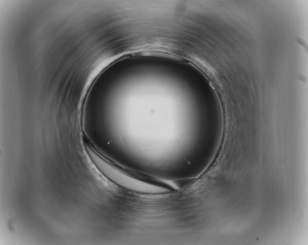 X0000091291200200708171338