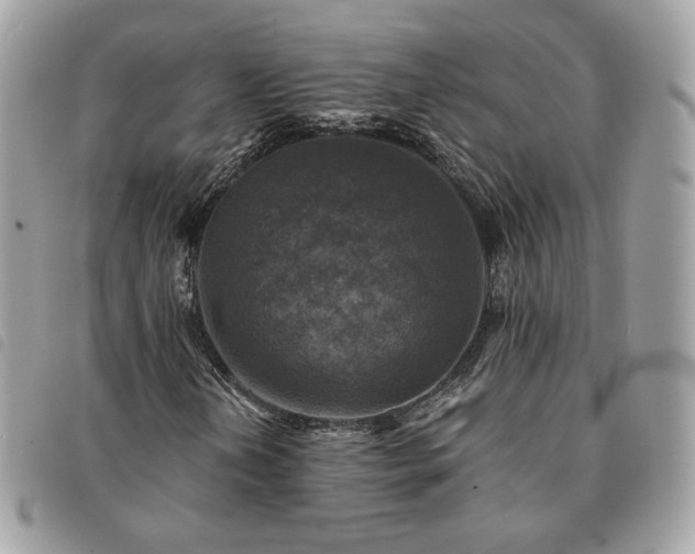 X0000091291202200708171337