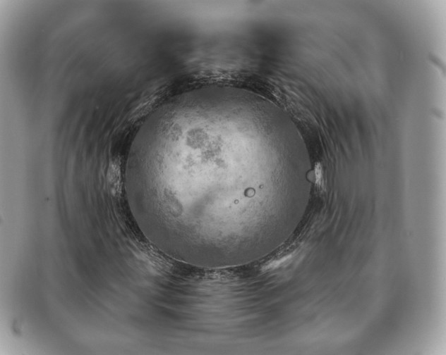 X0000091291203200708171337