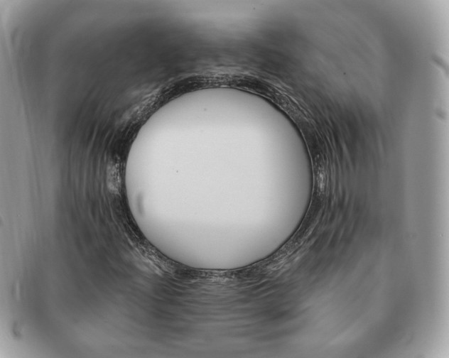 X0000091291204200708171337