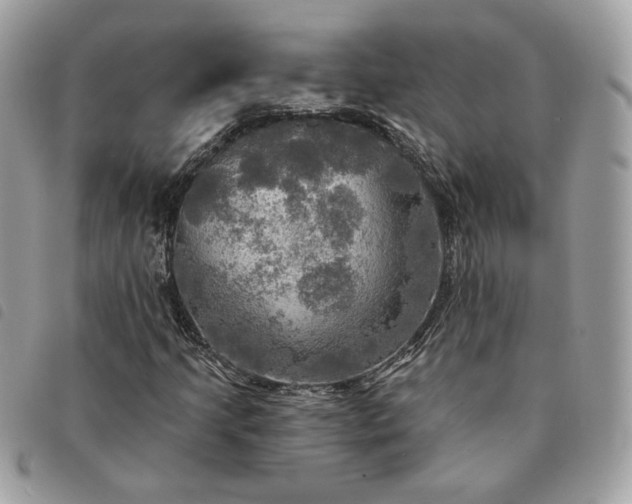 X0000091291205200708171337